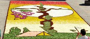 L'infiorata a Tarquinia