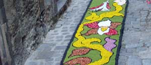 L'infiorata di Bolsena