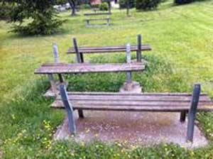 Il parco comunale del Pilastro nel degrado