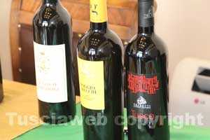 Feste del vino 2011