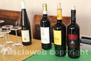 I vini della Tuscia