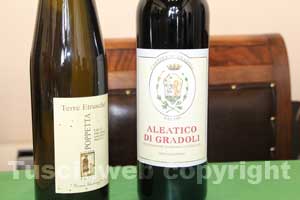 Feste del vino 2011