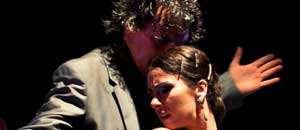 flamenco