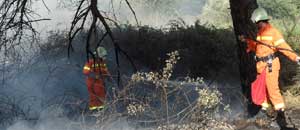 L'incendio nella pineta Palombaro a Montalto di Castro