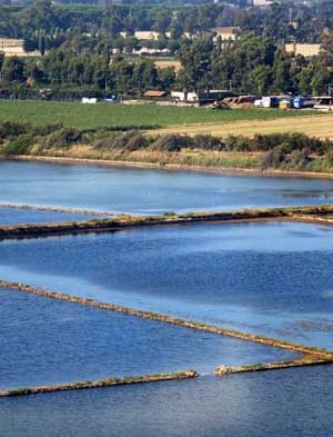 Le Saline di Tarquinia