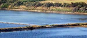 Le Saline di Tarquinia