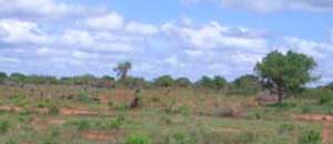 Gis, il terreno in cui sorgerà la fattoria di Karen