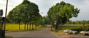 Villa San Giovanni in Tuscia