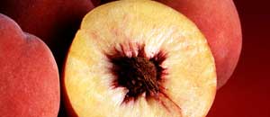 Le pesche