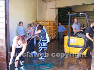 I canepinesi al lavoro