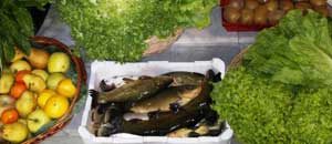 Ringraziamento dei pescatori