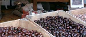 Castagne