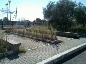 Le erbacce ai giardini pubblici di Via Orazio