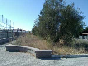 Le erbacce ai giardini pubblici di Via Orazio