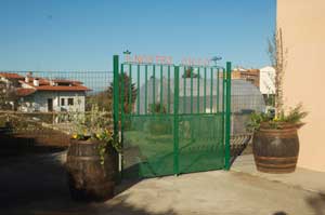 Inaugurazione Liceo artistico statale