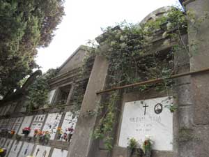 Il degrado del cimitero fotografato da Sposetti