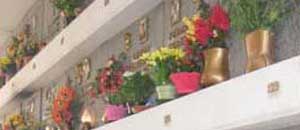 Il cimitero San Lazzaro di Viterbo