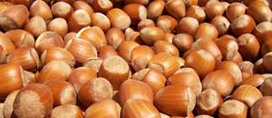 Nocciole