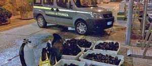 I ricci sequestrati