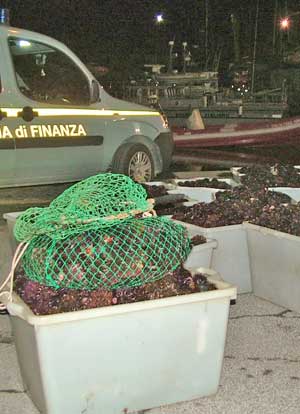 I ricci sequestrati