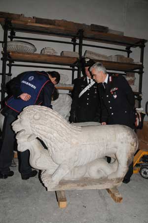 I leoni che danno il nome all'operazione Lions