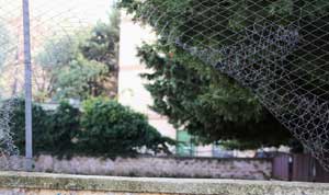 La rete bucata della scuola