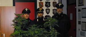 La droga sequestrata dai carabinieri di Orte