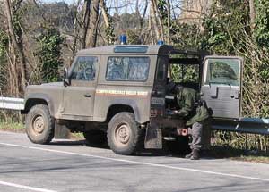 La forestale in azione