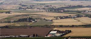 Il campo in cui l'arrestato incontrava le presunte