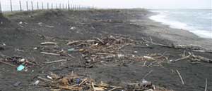 L'immondizia sulla spiaggia delle Saline