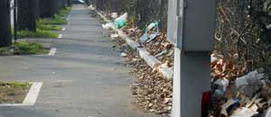 Il degrado in viale Trieste