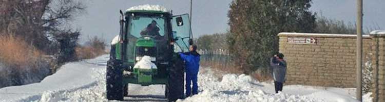 Le campagne viterbesi innevate