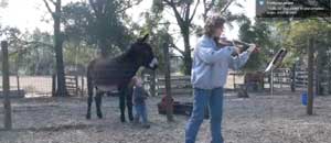 Donkeyotee insieme alla padrona della fattoria