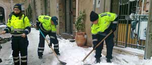 Volontari al lavoro a Tarquinia