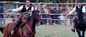 Due butteri