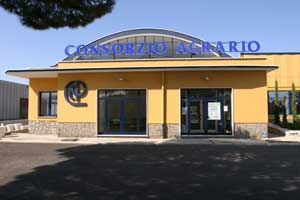 Il consorzio agrario di Viterbo