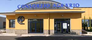 Il consorzio agrario di Viterbo
