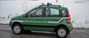 La forestale in campo per l'emergenza neve