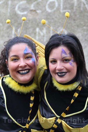 Maschere e carri delle passate edizioni del Carnevale ronciglionese Ronciglione