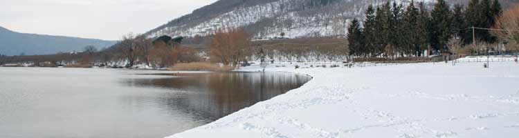 Lago di Vico di Pierluigi Saba