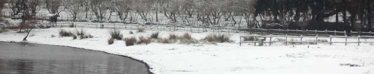 Il lago Bolsena con la neve