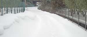 Strada Mammagialla innevata