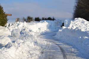 neve