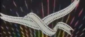 Il logo di "Lunedì cinema"