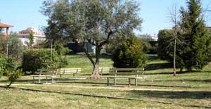 Le panchine nuove ai giardini di viale Bruno Buozzi