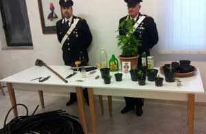 Il materiale sequestrato dai carabinieri