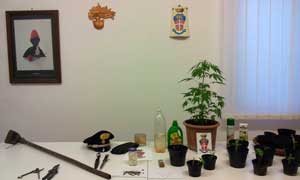 Il materiale sequestrato dai carabinieri
