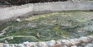 Il Parco della Mola abbandonato