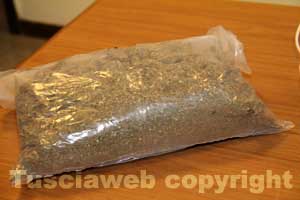 La marijuana sequestrata