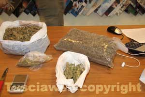 La marijuana sequestrata